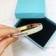 New Style T I F F I NY Diamonds Bangle - Fast Shipping (2)_th.jpg